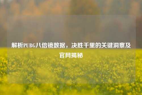 解析PUBG八倍镜数据,决胜千里的关键洞察及官网揭秘