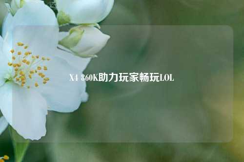 X4 860K助力玩家畅玩LOL