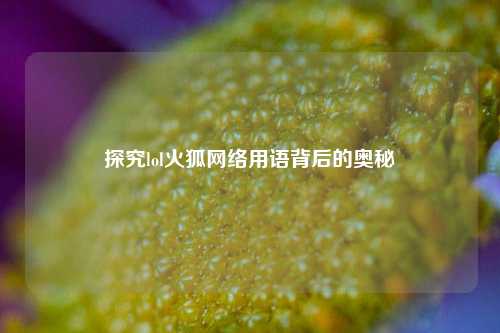 探究lol火狐网络用语背后的奥秘