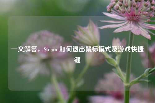 一文解答,Steam 如何退出鼠标模式及游戏快捷键