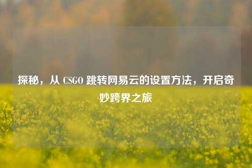 探秘，从 CSGO 跳转网易云的设置方法，开启奇妙跨界之旅