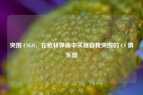 突围 CSGO,在枪林弹雨中实现自我突围的 CS 俱乐部