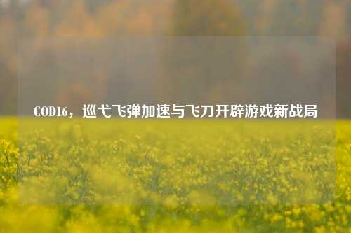 COD16,巡弋飞弹加速与飞刀开辟游戏新战局