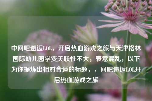 中网吧邂逅LOL，开启热血游戏之旅与天津格林国际幼儿园学费关联性不大，表意混乱，以下为你提炼出相对合适的标题，，网吧邂逅LOL开启热血游戏之旅