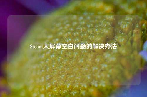 Steam大屏幕空白问题的解决办法