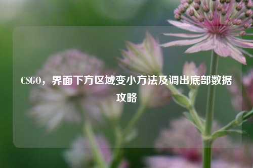 CSGO，界面下方区域变小方法及调出底部数据攻略