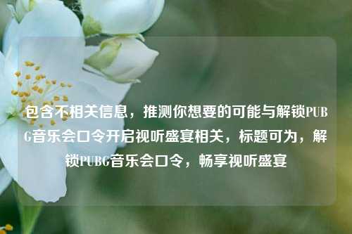 包含不相关信息，推测你想要的可能与解锁PUBG音乐会口令开启视听盛宴相关，标题可为，解锁PUBG音乐会口令，畅享视听盛宴