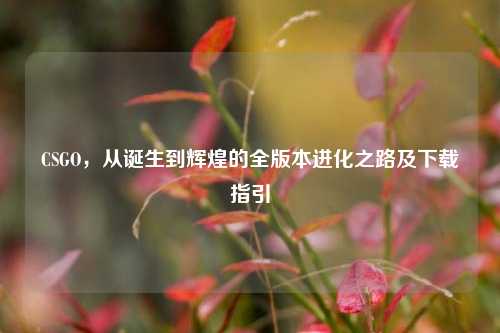 CSGO,从诞生到辉煌的全版本进化之路及下载指引