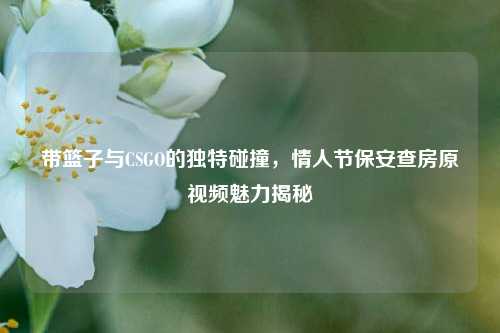 带篮子与CSGO的独特碰撞，情人节保安查房原视频魅力揭秘