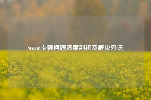 Steam卡顿问题深度剖析及解决办法