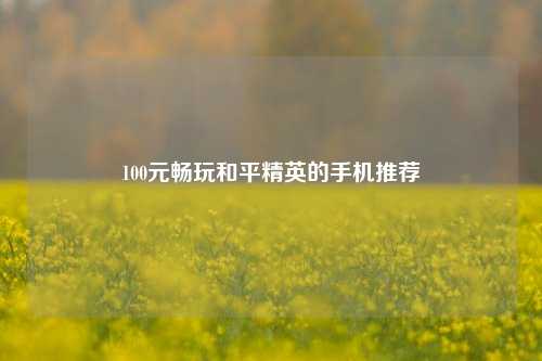100元畅玩和平精英的手机推荐