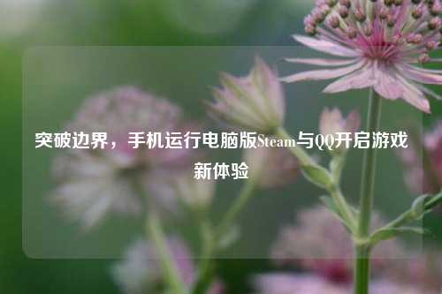 突破边界，手机运行电脑版Steam与QQ开启游戏新体验