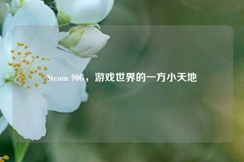Steam 90G，游戏世界的一方小天地