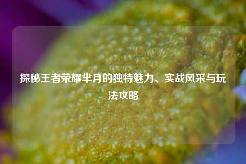 探秘王者荣耀芈月的独特魅力、实战风采与玩法攻略
