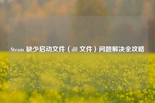 Steam 缺少启动文件（dll 文件）问题解决全攻略