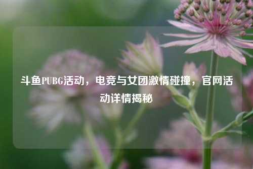 斗鱼PUBG活动，电竞与女团激情碰撞，官网活动详情揭秘