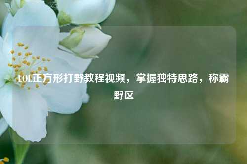 LOL正方形打野教程视频，掌握独特思路，称霸野区