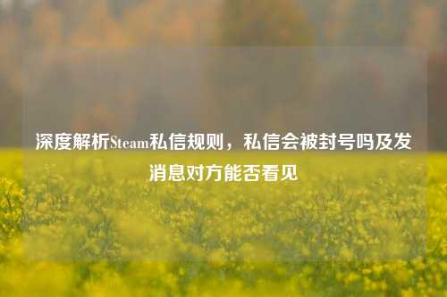 深度解析Steam私信规则，私信会被封号吗及发消息对方能否看见