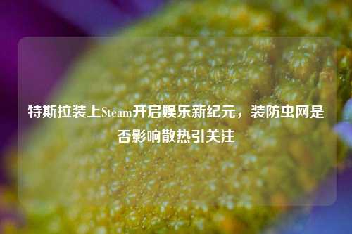 特斯拉装上Steam开启娱乐新纪元,装防虫网是否影响散热引关注