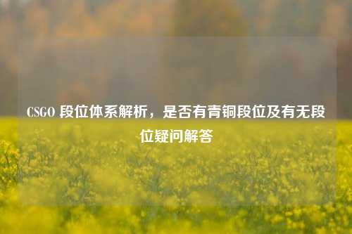 CSGO 段位体系解析，是否有青铜段位及有无段位疑问解答