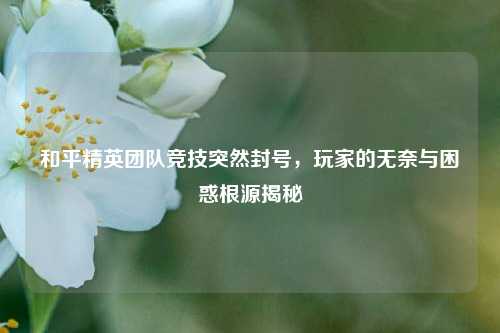 和平精英团队竞技突然封号,玩家的无奈与困惑根源揭秘