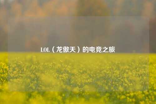 LOL(龙傲天)的电竞之旅