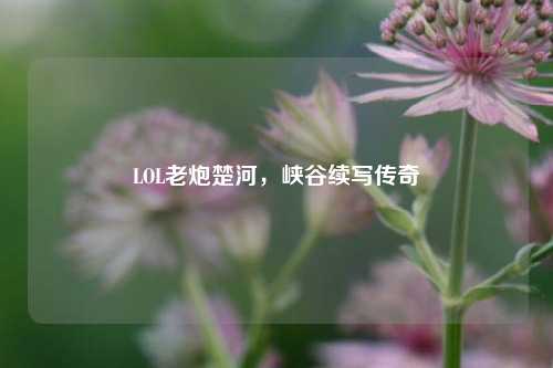 LOL老炮楚河，峡谷续写传奇