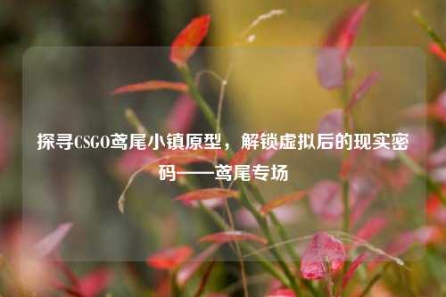 探寻CSGO鸢尾小镇原型，解锁虚拟后的现实密码——鸢尾专场
