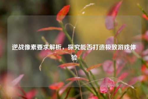 逆战像素要求解析，探究能否打造极致游戏体验