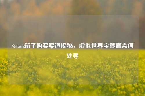 Steam箱子购买渠道揭秘，虚拟世界宝藏盲盒何处寻