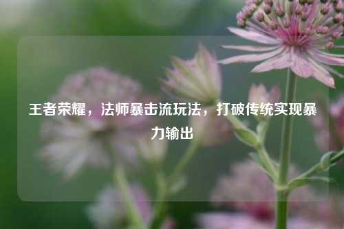 王者荣耀，法师暴击流玩法，打破传统实现暴力输出
