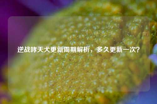 逆战哮天犬更新周期解析，多久更新一次？