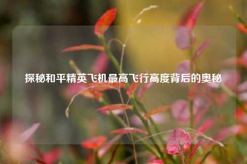 探秘和平精英飞机最高飞行高度背后的奥秘