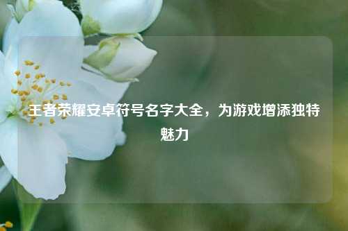 王者荣耀安卓符号名字大全，为游戏增添独特魅力