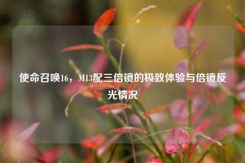 使命召唤16，M13配三倍镜的极致体验与倍镜反光情况