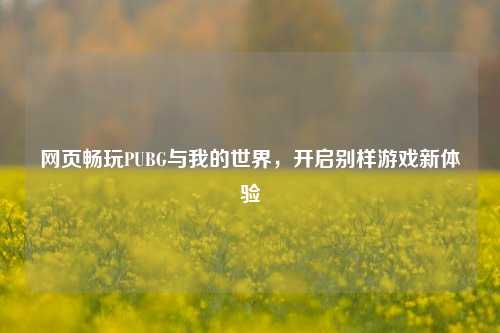 网页畅玩PUBG与我的世界，开启别样游戏新体验