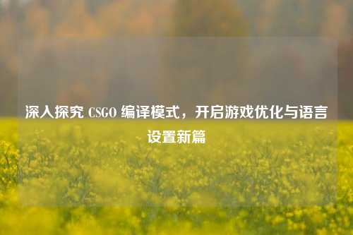 深入探究 CSGO 编译模式，开启游戏优化与语言设置新篇