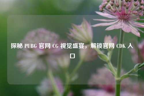 探秘 PUBG 官网 CG 视觉盛宴，解锁官网 CDK 入口