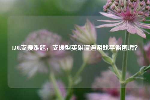 LOL支援难题，支援型英雄遭遇游戏平衡困境？