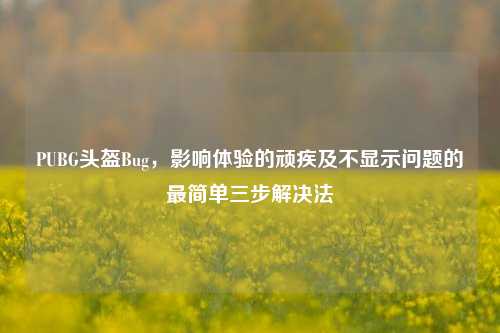 PUBG头盔Bug，影响体验的顽疾及不显示问题的最简单三步解决法