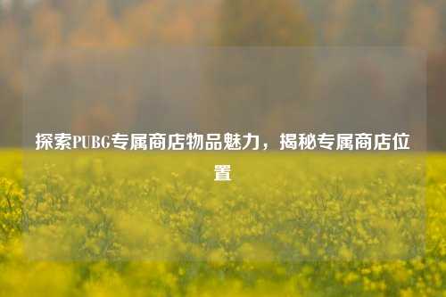 探索PUBG专属商店物品魅力，揭秘专属商店位置