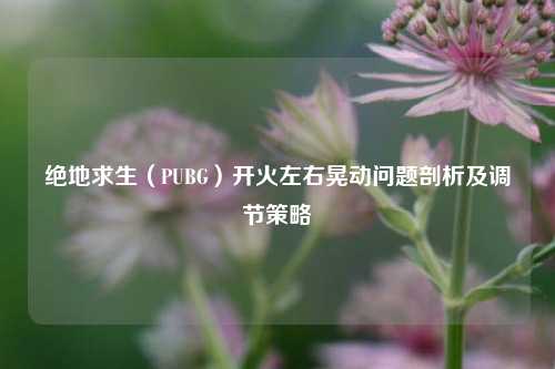 绝地求生(PUBG)开火左右晃动问题剖析及调节策略