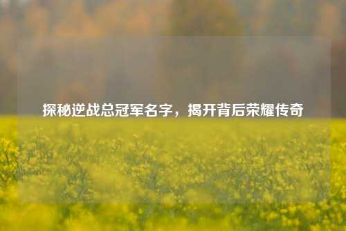 探秘逆战总冠军名字，揭开背后荣耀传奇