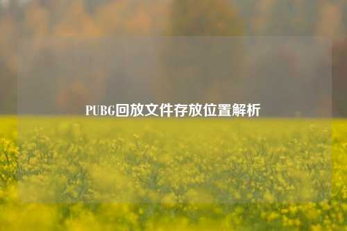 PUBG回放文件存放位置解析