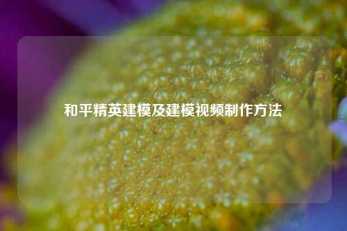 和平精英建模及建模视频制作方法