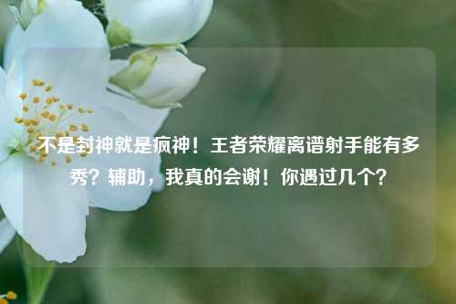 不是封神就是疯神！王者荣耀离谱射手能有多秀？辅助，我真的会谢！你遇过几个？