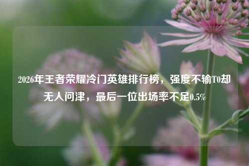 2026年王者荣耀冷门英雄排行榜,强度不输T0却无人问津,最后一位出场率不足0.5%