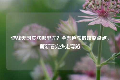 逆战天网皮肤哪里弄?全渠道获取攻略盘点,萌新看完少走弯路
