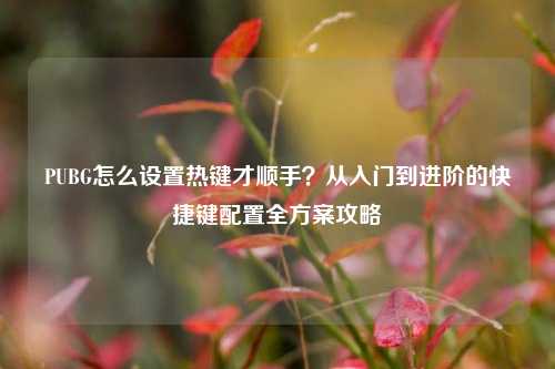 PUBG怎么设置热键才顺手?从入门到进阶的快捷键配置全方案攻略