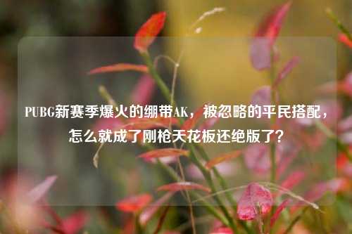 PUBG新赛季爆火的绷带AK，被忽略的平民搭配，怎么就成了刚枪天花板还绝版了？